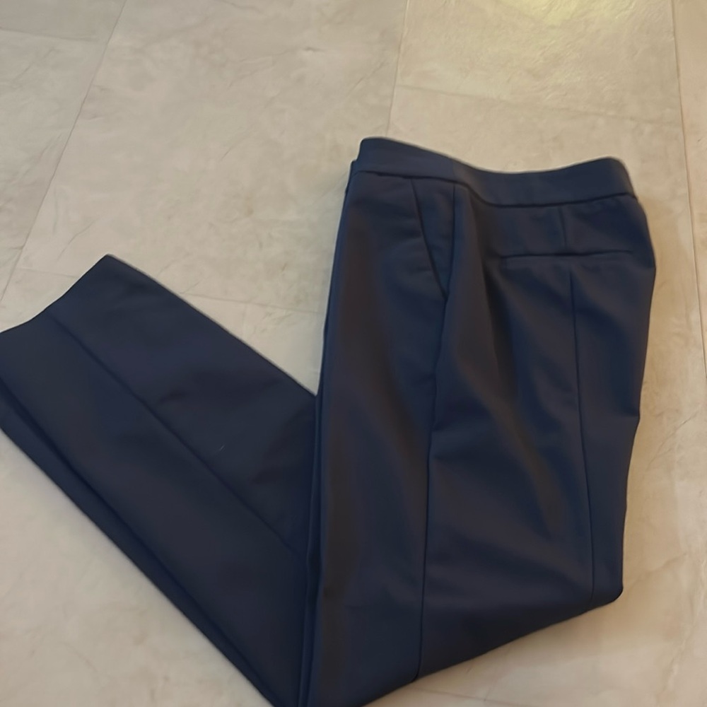Express Dress Pants Size 4 NWOT